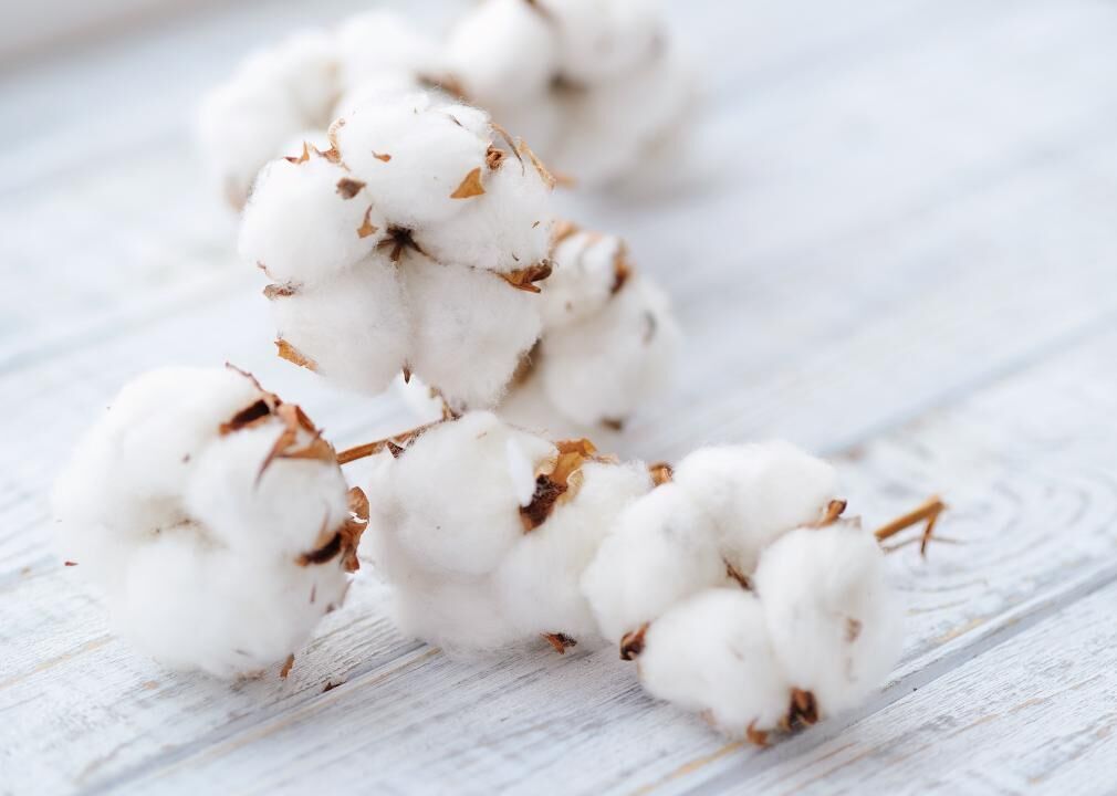 Cotton